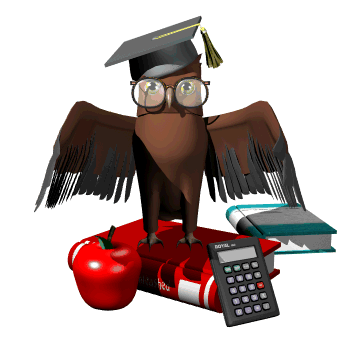 Owl standing on books